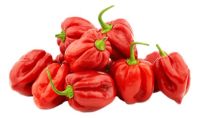 Πιπεριές Red Habanero BIO