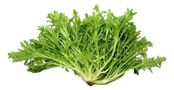 Αγριοράδικο ΒΙΟ (1τμχ)