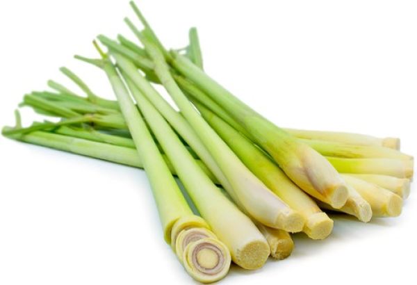 Lemongrass BIO