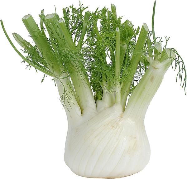 Finocchio BIO