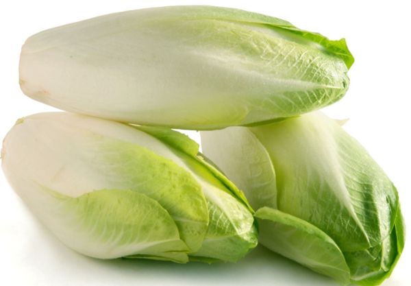 Σικορέ (Chicory) ΒΙΟ