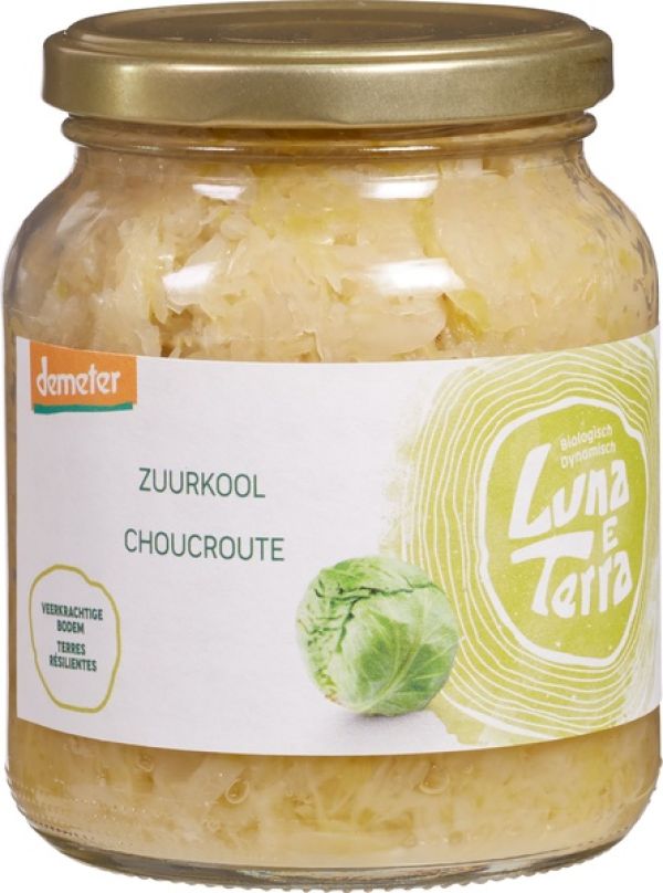 Ξινολάχανο Τουρσί (Sauerkraut)