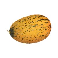 Πεπόνι Θρακιώτικο ΒΙΟ