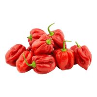 Πιπεριές Red Habanero BIO