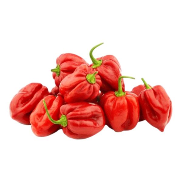 Πιπεριές Red Habanero BIO