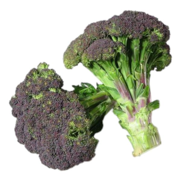 Μπρόκολο μωβ ΒΙΟ