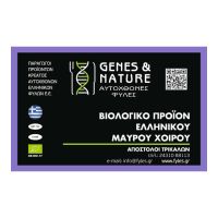 Πανσέτα Μαύρου Χοίρου