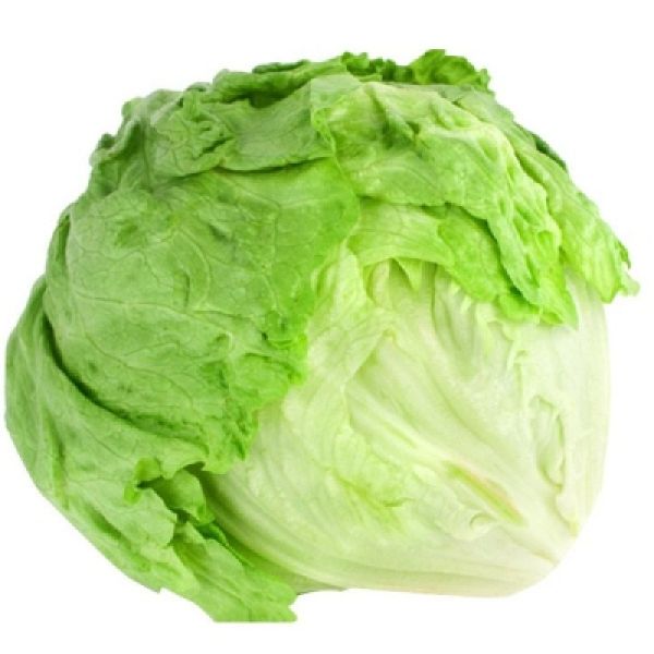 ΜΑΡΟΥΛΙ ICEBERG BIO