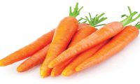 Organic Carrots
