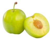 Κορόμηλα ΒΙΟ