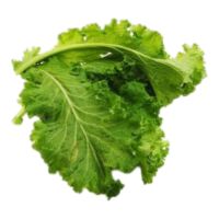 Organic Mustard Greens