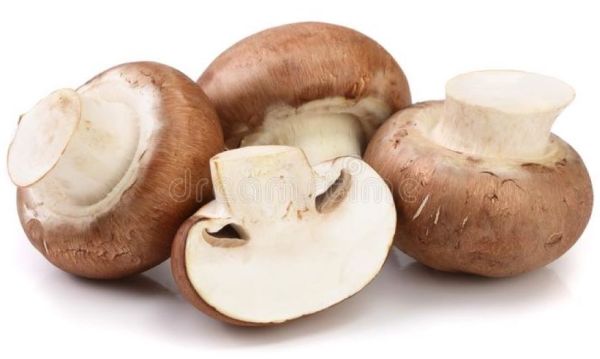 Μανιτάρια Champignon Καφέ BIO