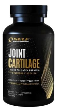 Joint Cartilage (Αρθρώσεις)