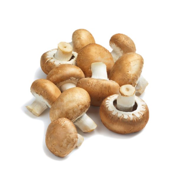 Μανιτάρια Chestnut Brown BIO