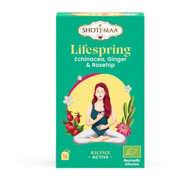 Lifespring Echinacea Ginger Tea