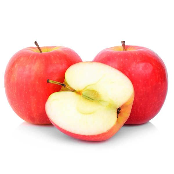 Μήλα for Lady ΒΙΟ