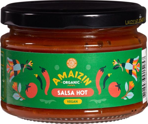 Hot salsa nacho dip
